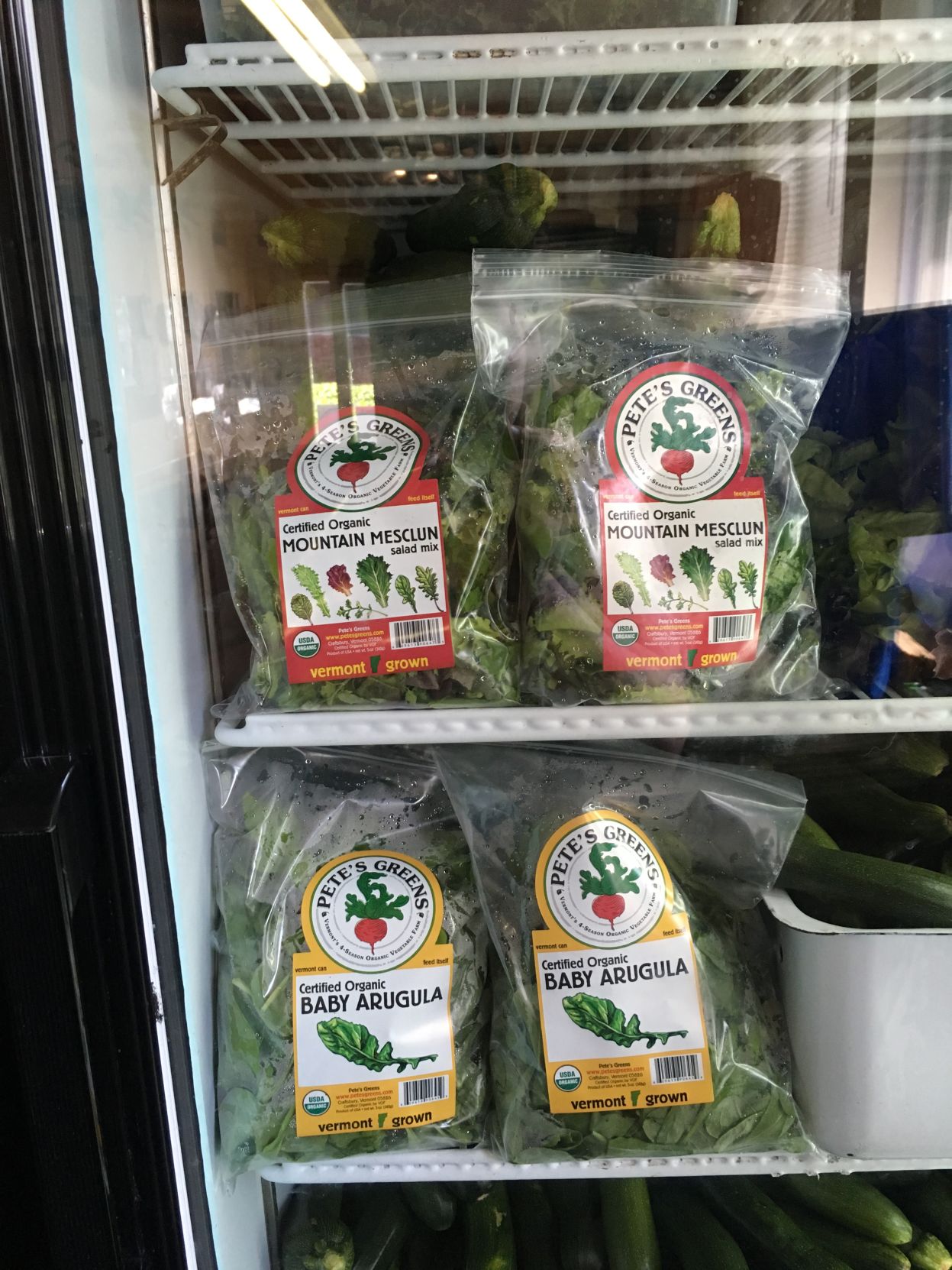 fridge 1.JPG